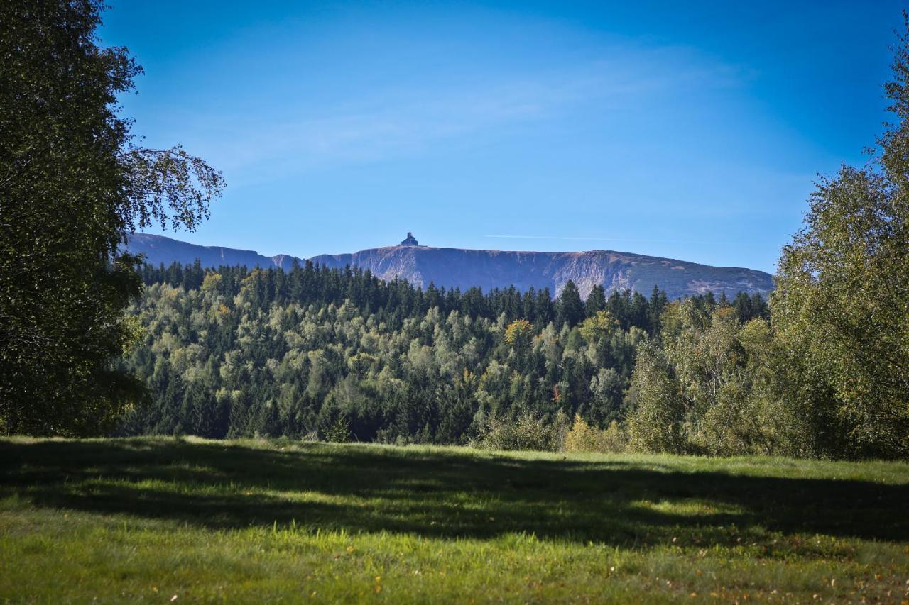 Drewniana Roza Domki Karkonosze Piechowice  Exteriör bild