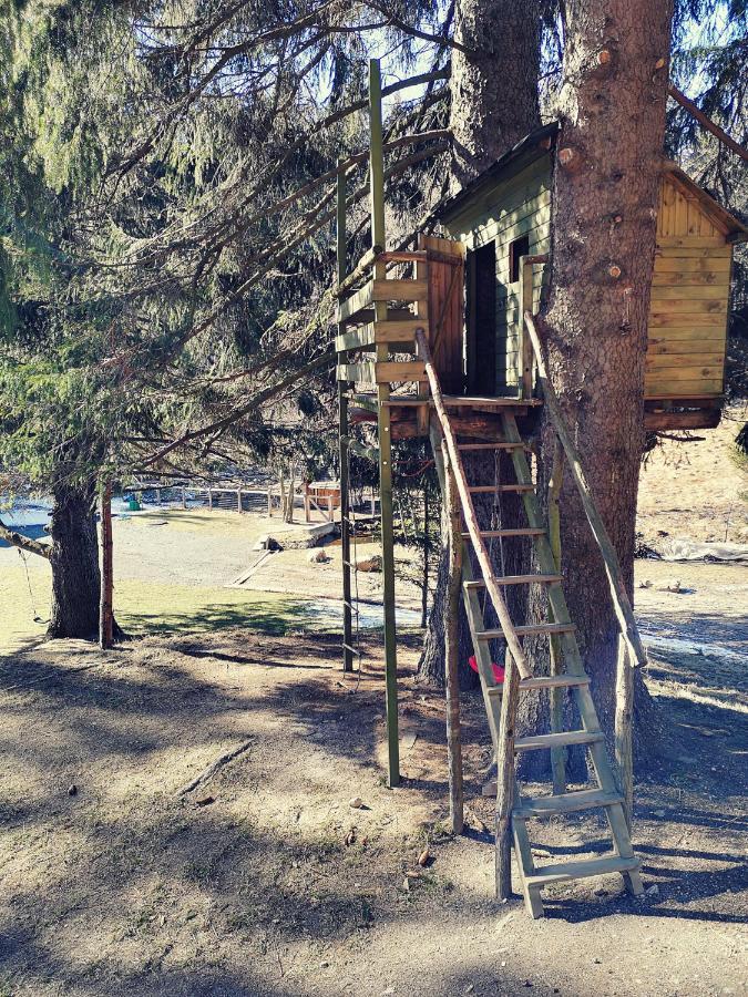Drewniana Roza Domki Karkonosze Piechowice  Exteriör bild