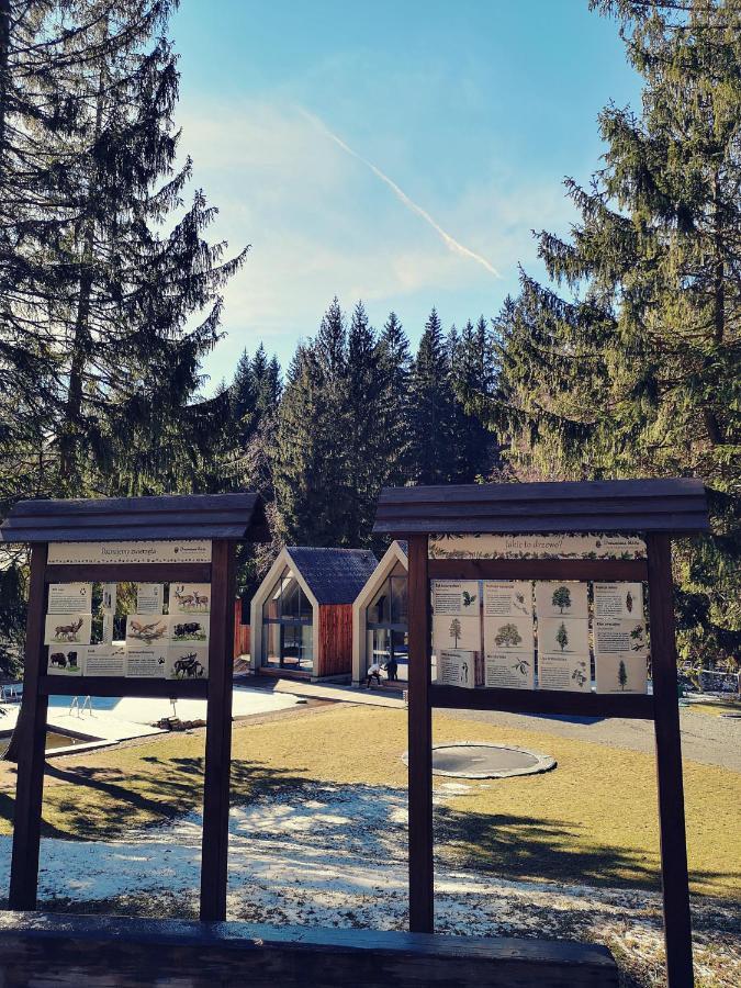 Drewniana Roza Domki Karkonosze Piechowice  Exteriör bild