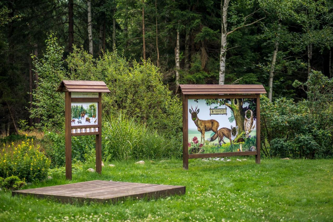 Drewniana Roza Domki Karkonosze Piechowice  Exteriör bild